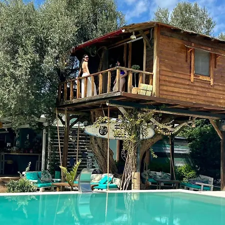 Apartment Tuz Treehouse